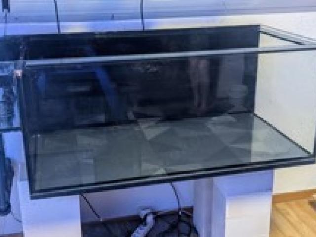 Meerwasser Aquarium 2 Jahre alt 120x60x50 360l Weißglasfront Rucksackablauf - 1